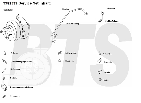 Compresor,sistem de supraalimentare T981539 BTS Turbo